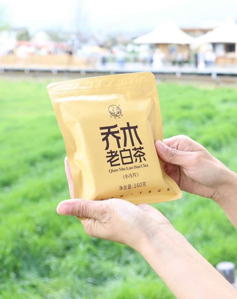 下关乔木老白茶 风起春意，适饮白茶