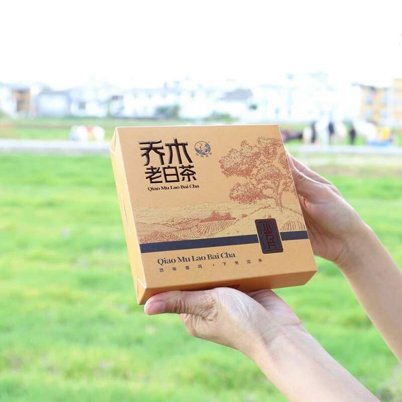 下关乔木老白茶 风起春意，适饮白茶