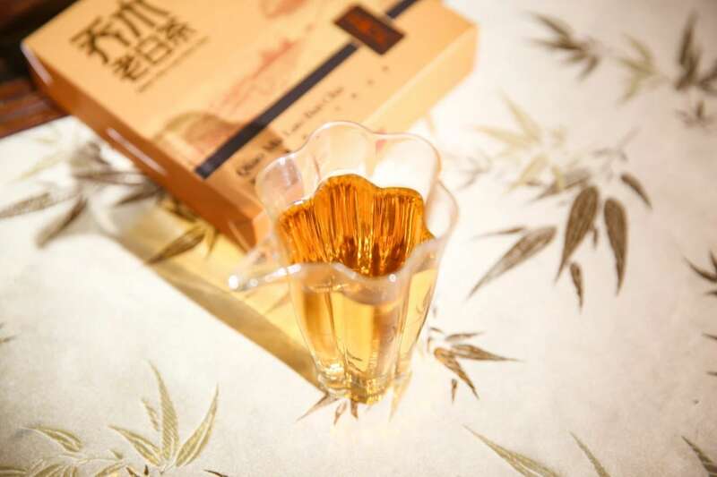 下关乔木老白茶 风起春意，适饮白茶