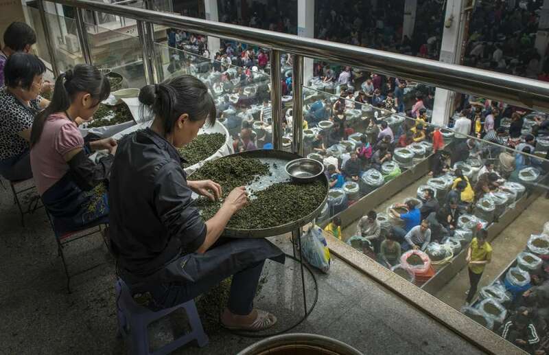 想要直播间卖春茶爆单？deepseek这样说