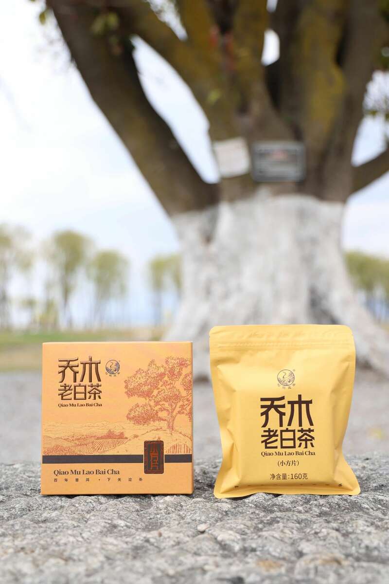 下关乔木老白茶 白茶小方片，春日小甜甜