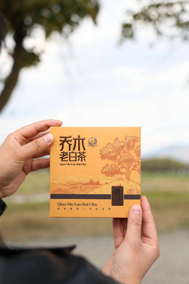 下关乔木老白茶 白茶小方片，春日小甜甜