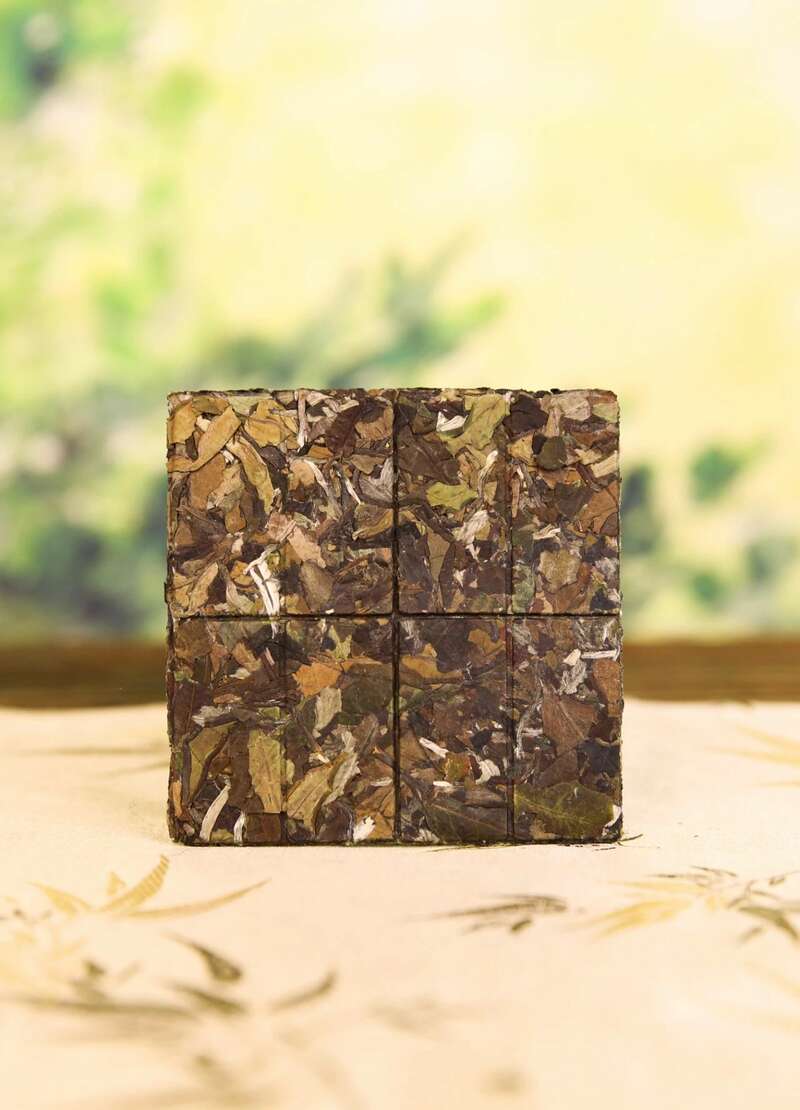 下关乔木老白茶 白茶小方片，春日小甜甜