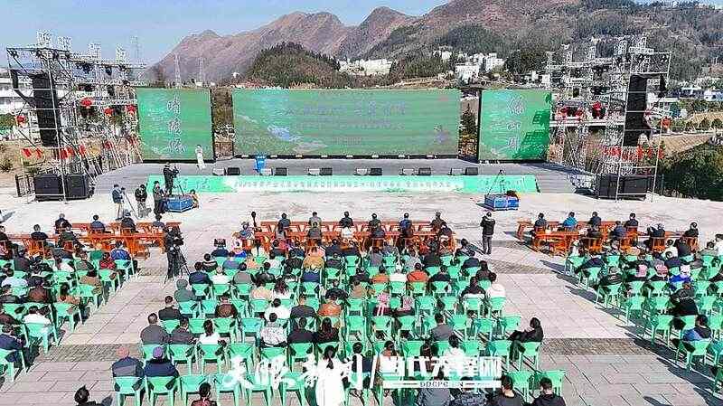 以茶为媒·共赢未来——2025年茶产业高质量发展大会暨第四届贵州（晴隆早春茶）全国采购商系列活动举行