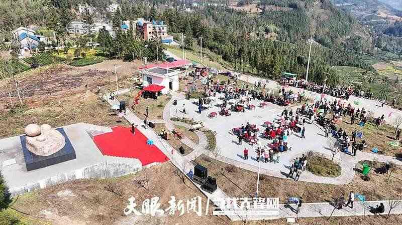 以茶为媒·共赢未来——2025年茶产业高质量发展大会暨第四届贵州（晴隆早春茶）全国采购商系列活动举行