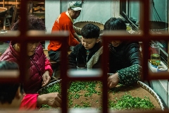 樊生华：‌守护西湖龙井的未来