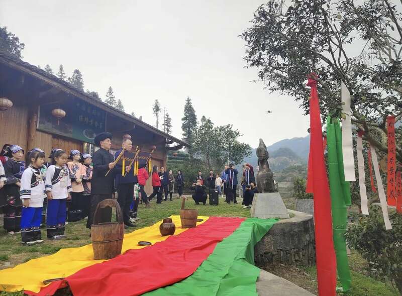 湖南最早茶园开采啦！