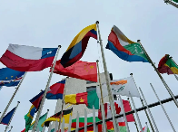 滇红茶香飘联合国，非遗技艺展风采