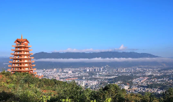 滇红茶香飘联合国，非遗技艺展风采