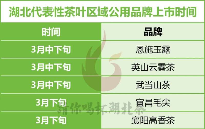 杯中第一口鲜何时喝到？且看2025湖北春茶上市时间表