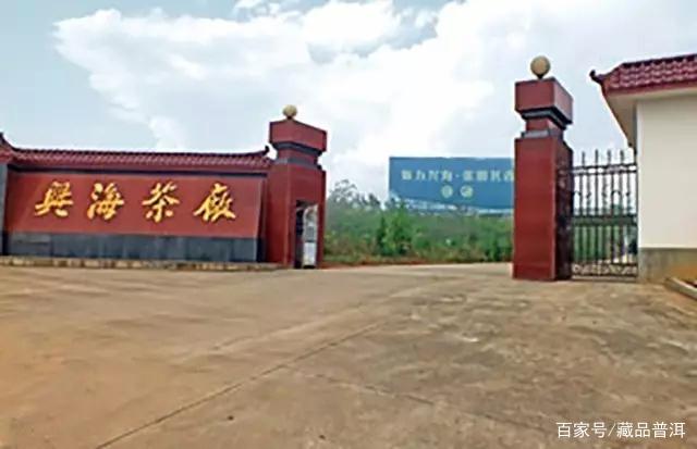 兴海茶厂发展历程与代表作品解析