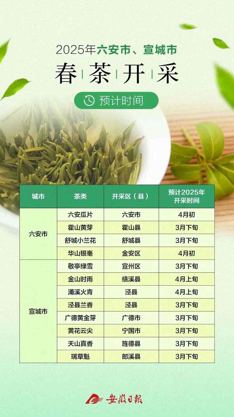 黄山春茶啥时候开采？最全的预计时间来了！