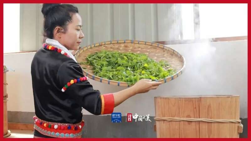 全国人大代表杨春兰：推广茶叶文化 助力乡村发展