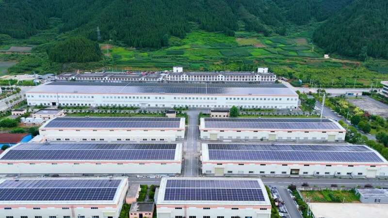 2025出海续航！贵州抹茶再次大规模出口日本！