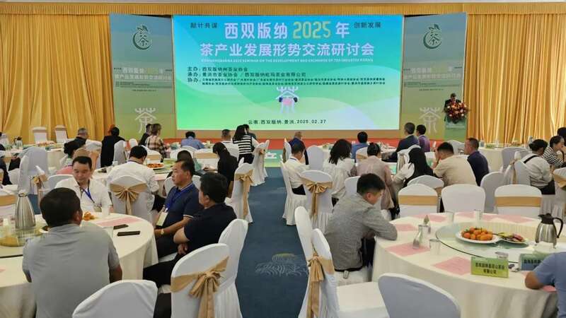 西双版纳2025年茶产业发展形势交流研讨会在景洪召开