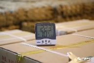 不同地区普洱茶存储方法指南，告别高温高湿困扰