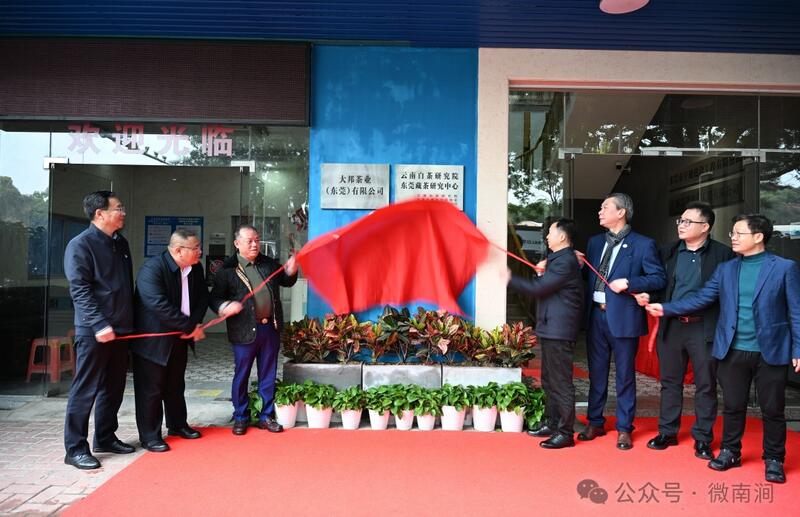云南白茶研究院东莞藏茶研究中心揭牌 南涧开启跨区域合作新篇章