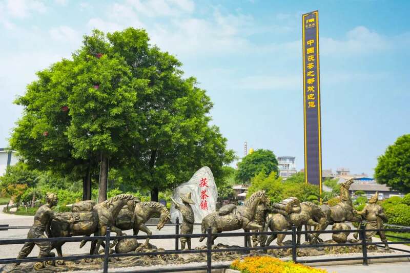 茯茶镇获评西安市农业产业化重点龙头企业！