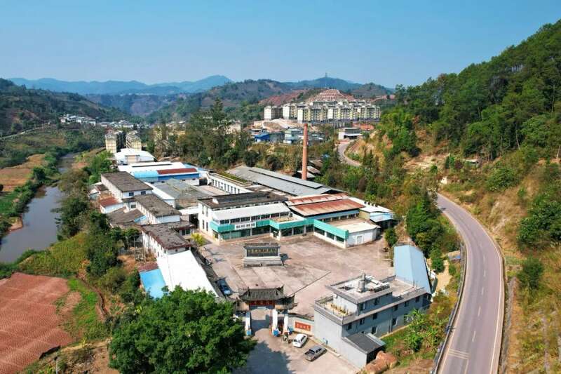 人勤春早 茶香四溢 江城县首批春茶抢“鲜”开采