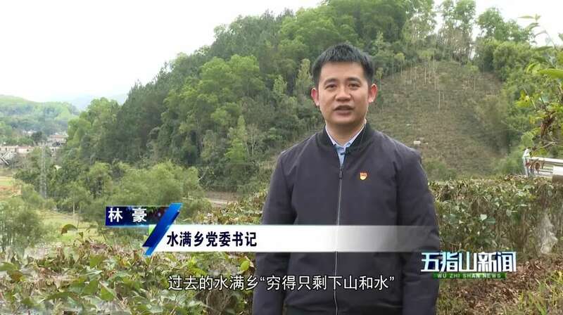 五指山水满乡：守护生态“国宝” ，走好“茶 + 文旅”发展新路径