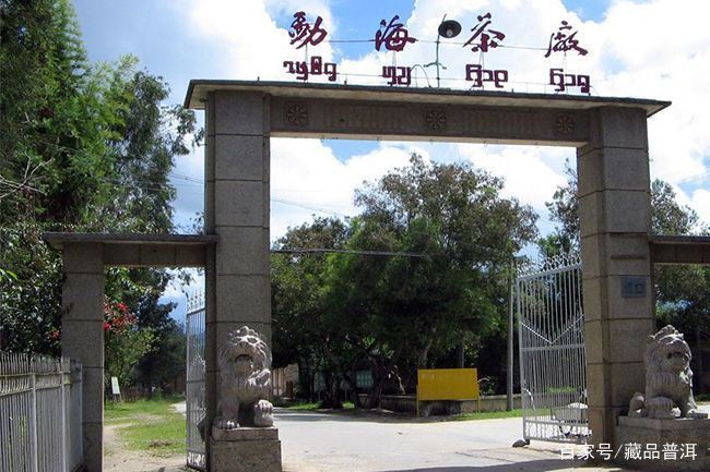 普洱熟茶三大经典谱系解析：勐海系下关系昆明系特色工艺对比