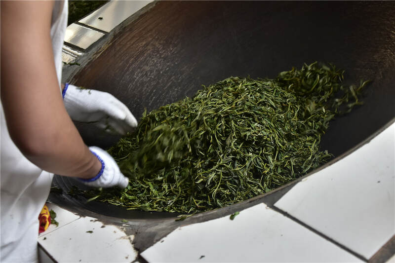 今年普洱茶真的会崩盘吗？答疑兼谈春茶