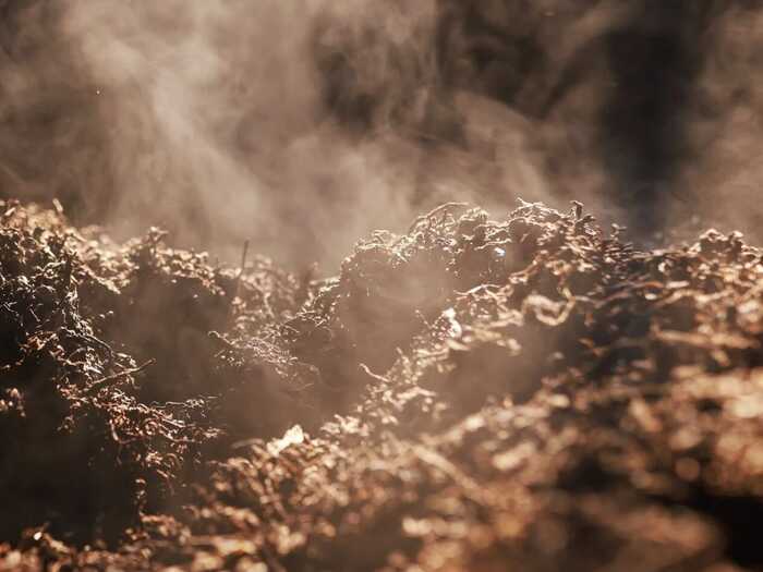 传统大堆 VS 现代小堆? 普洱熟茶的微生物博弈与风味抉择