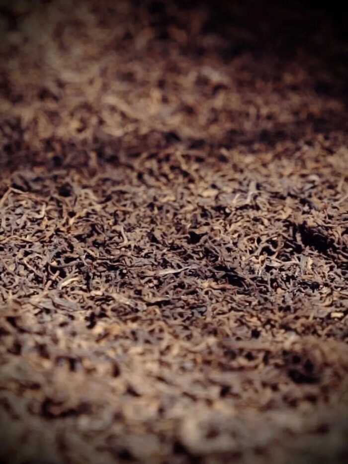 传统大堆 VS 现代小堆? 普洱熟茶的微生物博弈与风味抉择