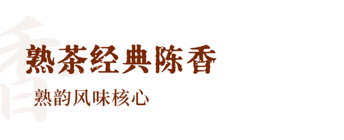解码熟普香气图鉴 读懂经典【陈香】