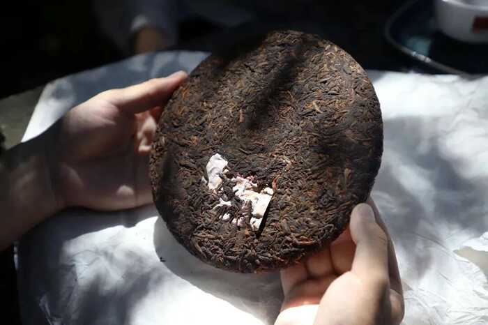 解码熟普香气图鉴 读懂经典【陈香】