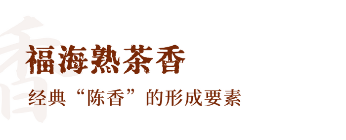 解码熟普香气图鉴 读懂经典【陈香】