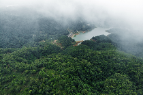 解码熟普香气图鉴 读懂经典【陈香】