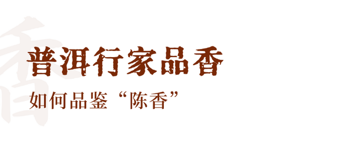 解码熟普香气图鉴 读懂经典【陈香】
