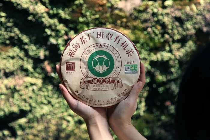 解码熟普香气图鉴 读懂经典【陈香】