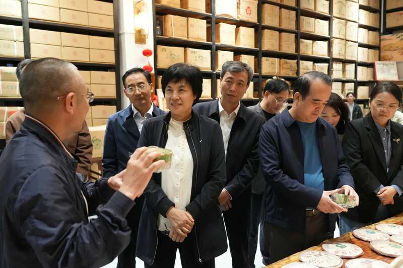 省人大常委会调研组赴万江开展茶产业调研
