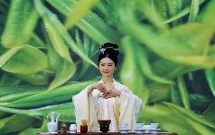 四川省第十二届茶叶开采活动周在泸州市纳溪区启动