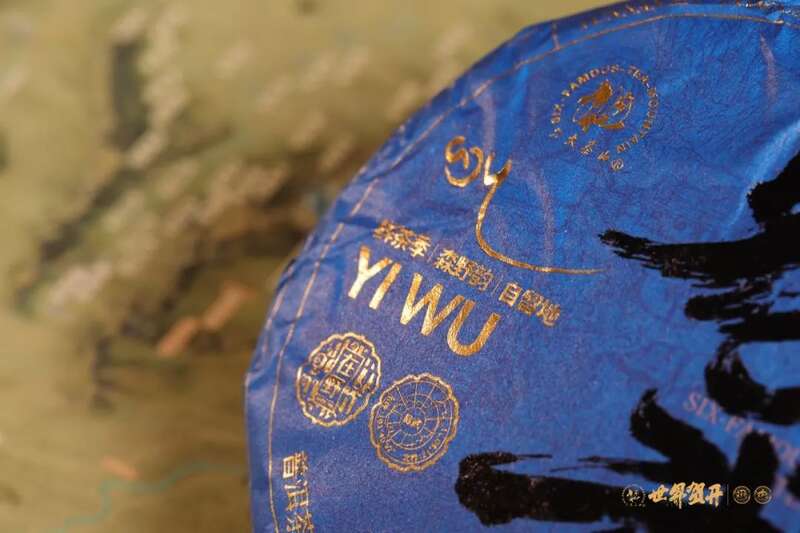 六大茶山在野 易武：原野无法驯服的刚柔并济