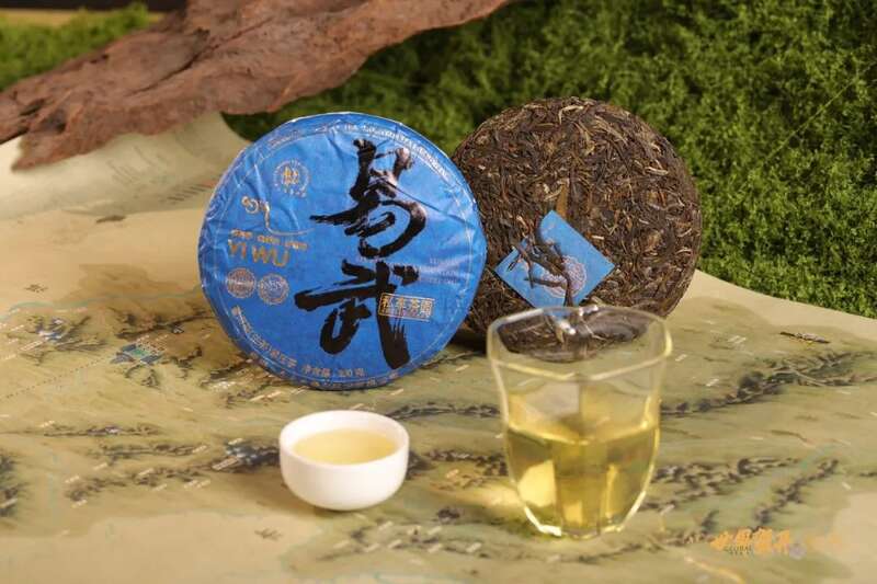 六大茶山在野 易武：原野无法驯服的刚柔并济