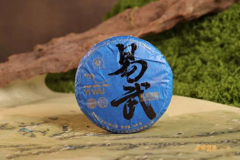 六大茶山在野 易武：原野无法驯服的刚柔并济