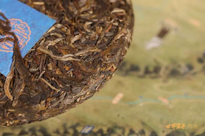 六大茶山在野 易武：原野无法驯服的刚柔并济