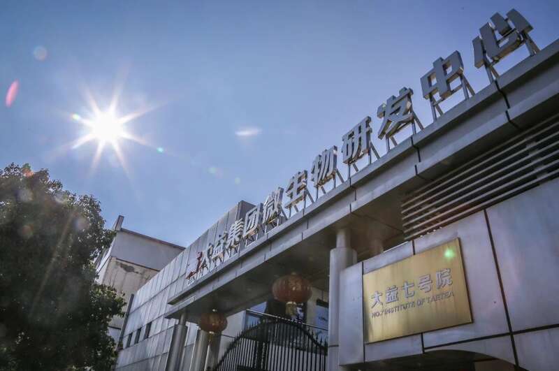 大益茶荣登《2025胡润中国茶叶领域典范企业榜》榜首