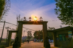 大益茶荣登《2025胡润中国茶叶领域典范企业榜》榜首