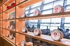 大益茶荣登《2025胡润中国茶叶领域典范企业榜》榜首