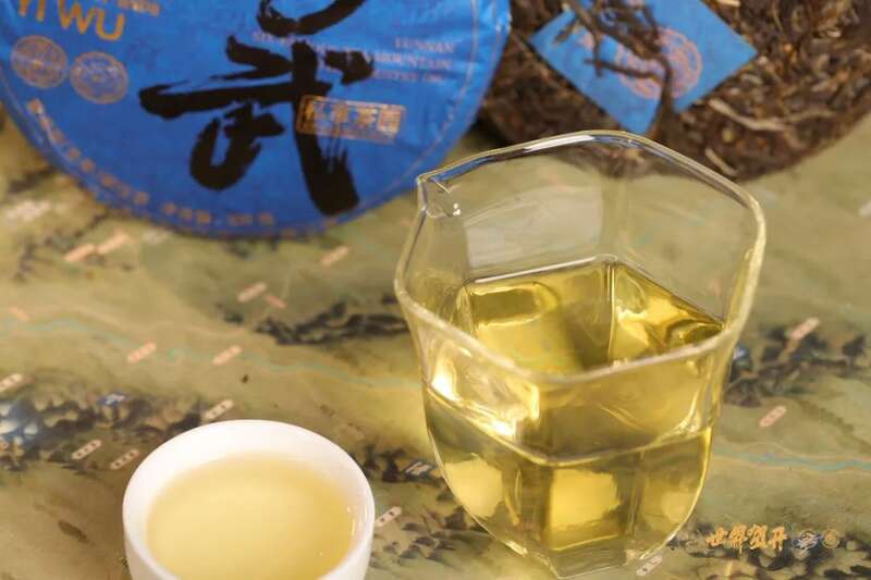 六大茶山在野 易武：原野无法驯服的刚柔并济