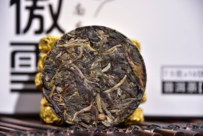 傲雪记：一片长在云雾里的叶子