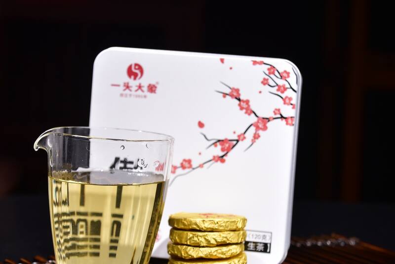 傲雪记：一片长在云雾里的叶子