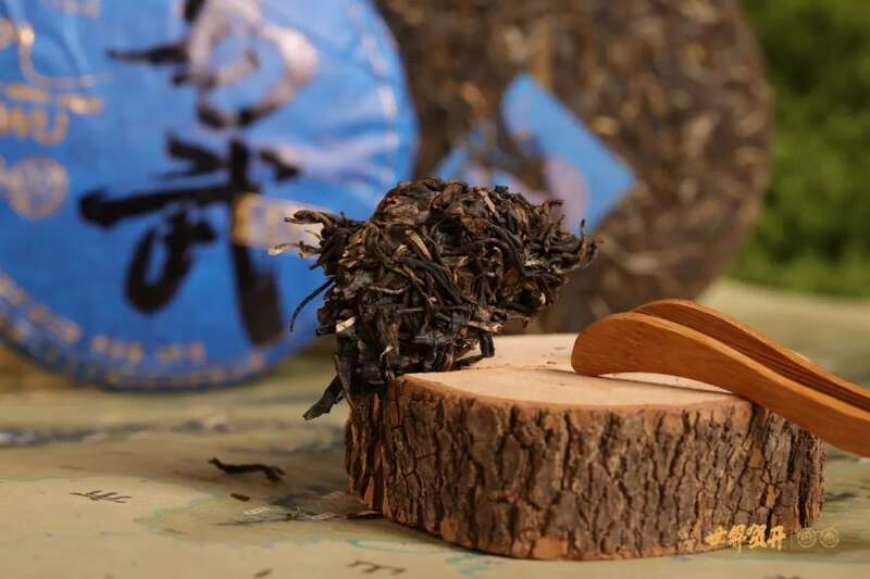 六大茶山在野 易武：原野无法驯服的刚柔并济