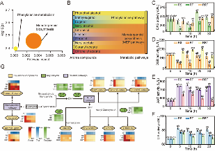 四川农业大学杜晓教授团队Food Chemistry成果：红茶窨制激活代谢途径提升玫瑰花香释放的关键机制