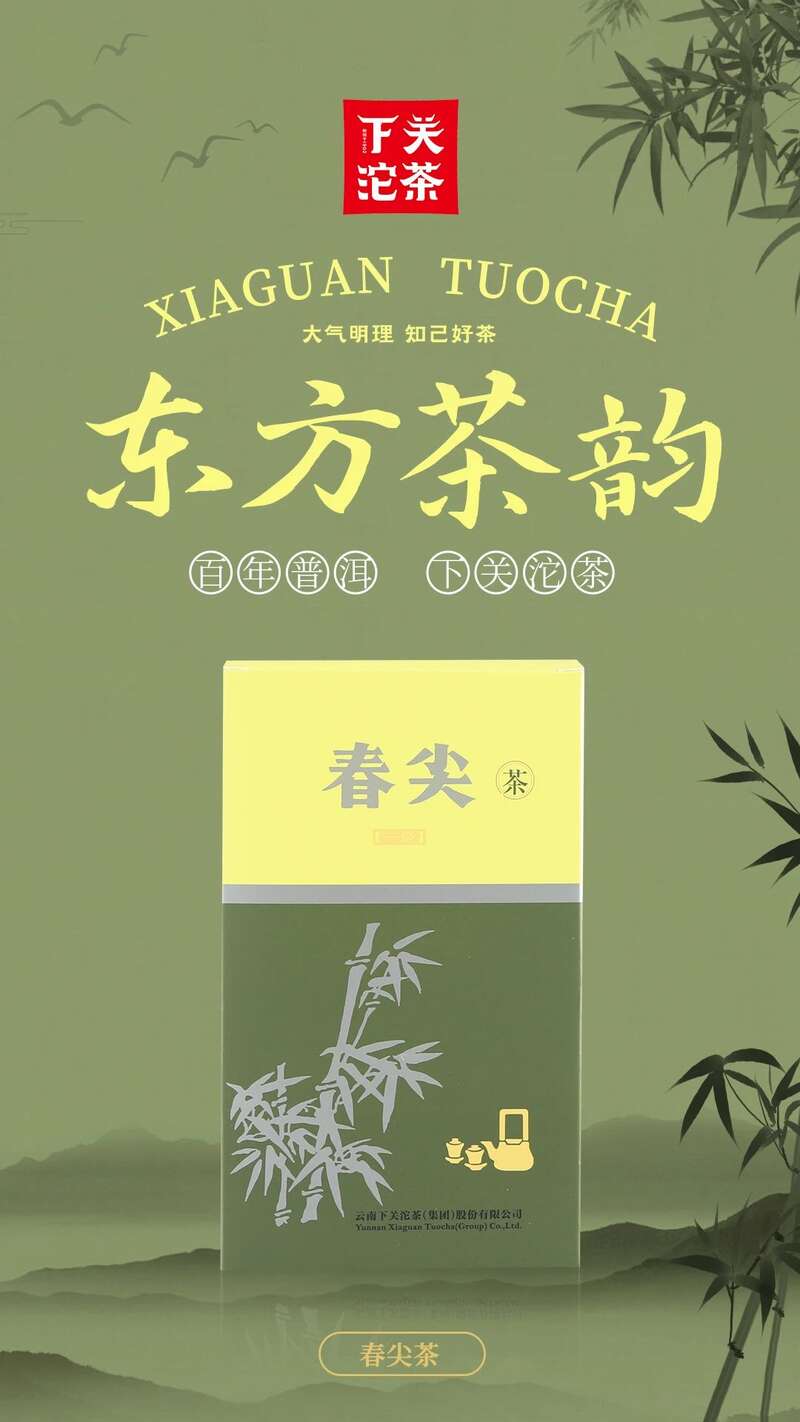 春尖茶 下关普洱茶，经典上新！