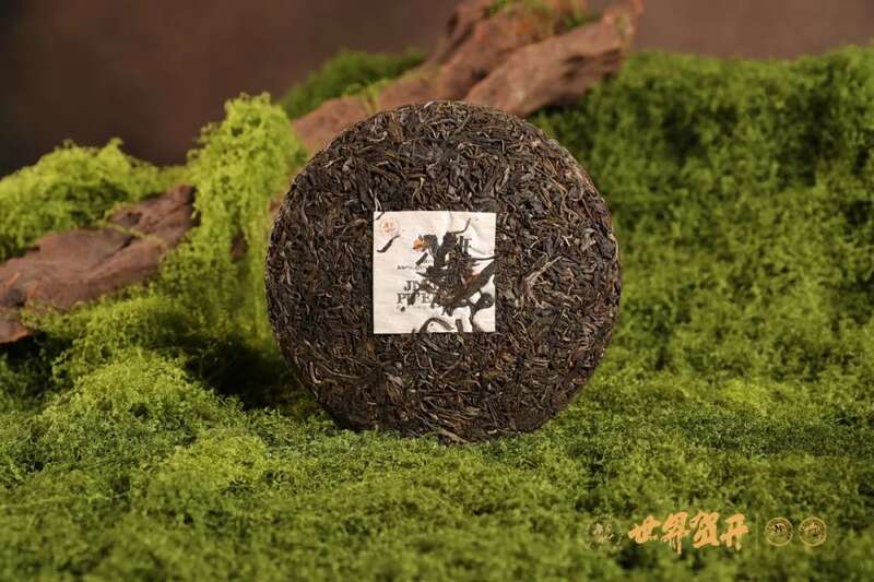 六大茶山极野 班章：感受过生命最原始的悸动吗